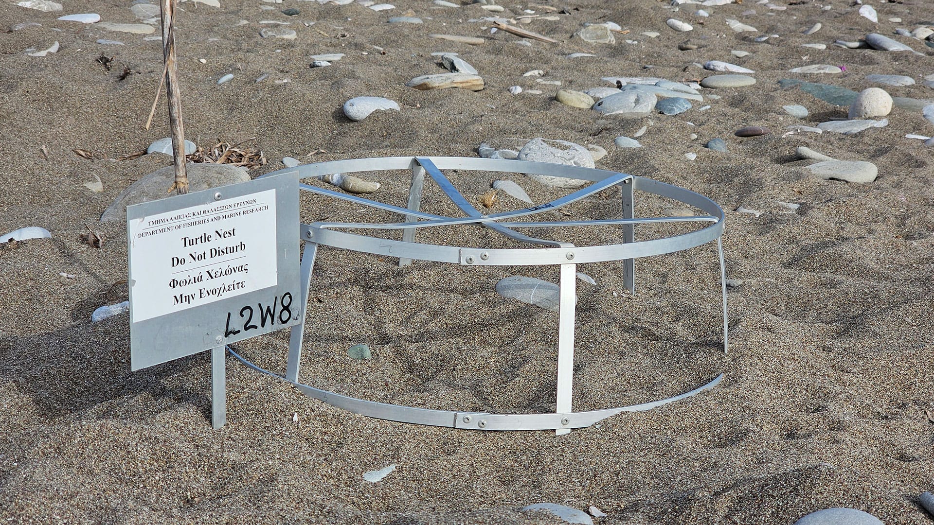 Turtle nest in the sand - South Lara Beach