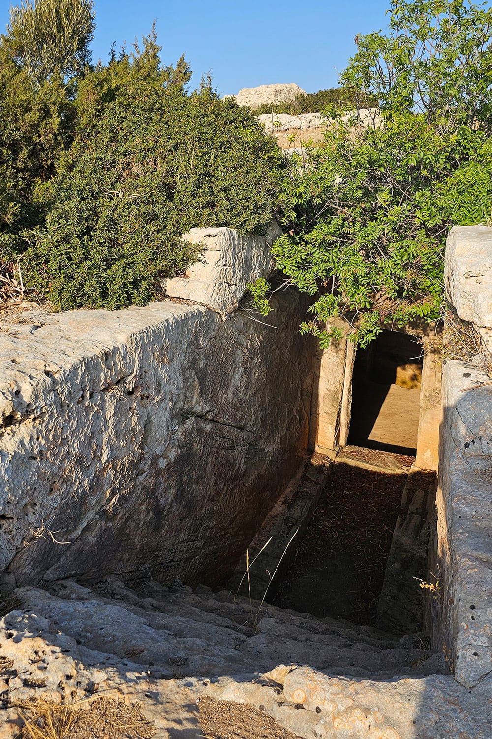Meletis Forest burials