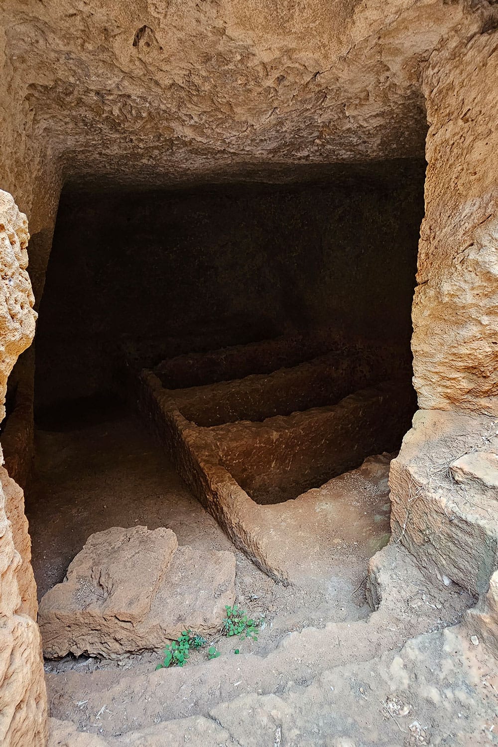 Meletis Forest crypts