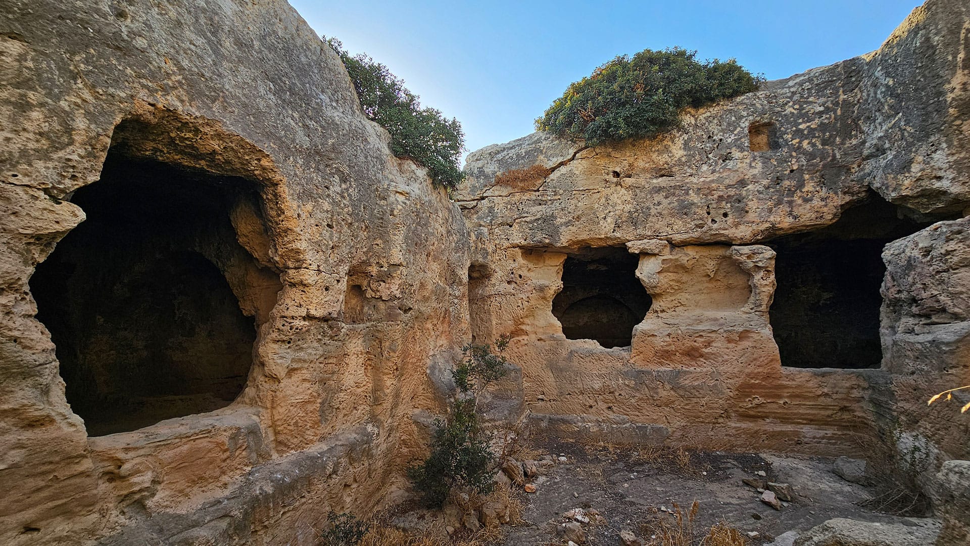 Meletis Forest graves