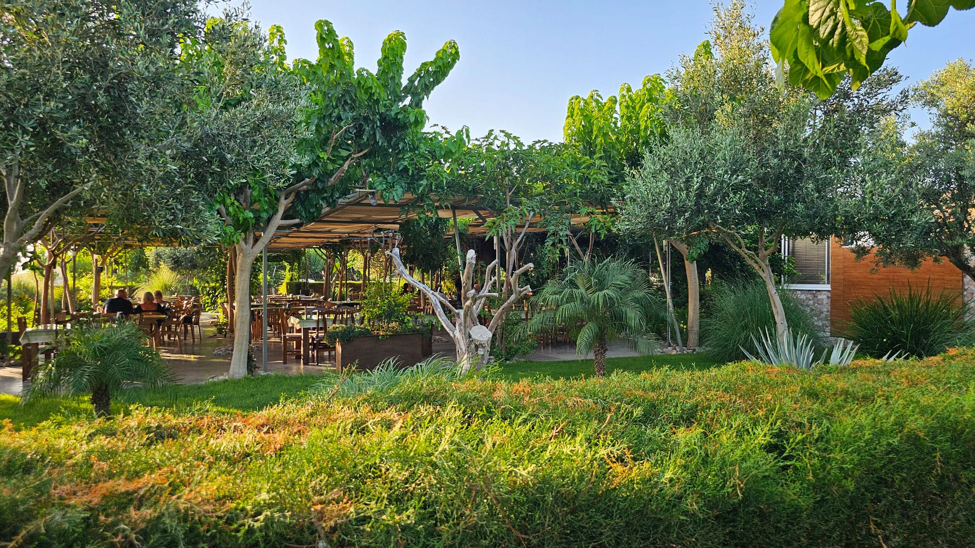 Nature Cafe Restaurant - Peyia