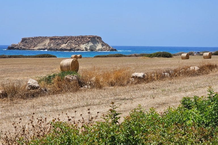 Geronisos Island in Peyia